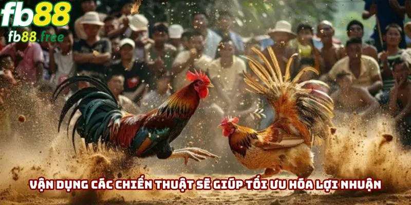 Vận dụng các chiến thuật sẽ giúp tối ưu hóa lợi nhuận thu về